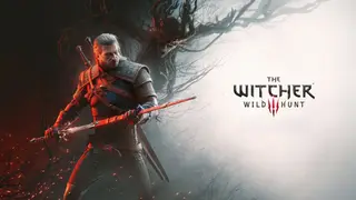 Image via DSOGaming