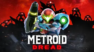 Image via Nintendo Everything