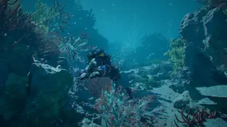Image via The Gamer